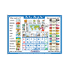 Daily English Poster New Edition